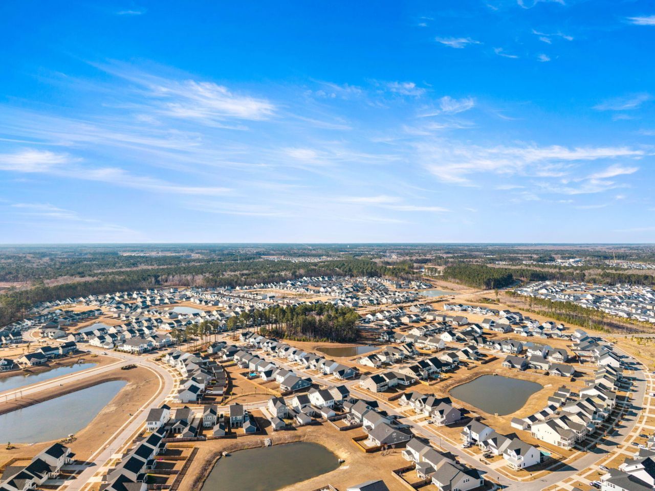 222 Woodland Oak Way Photo 44