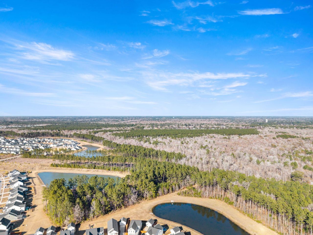 222 Woodland Oak Way Photo 45