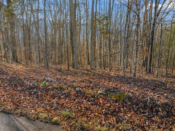 lot 18/19 Overton Road, Maynardville, TN 37807
