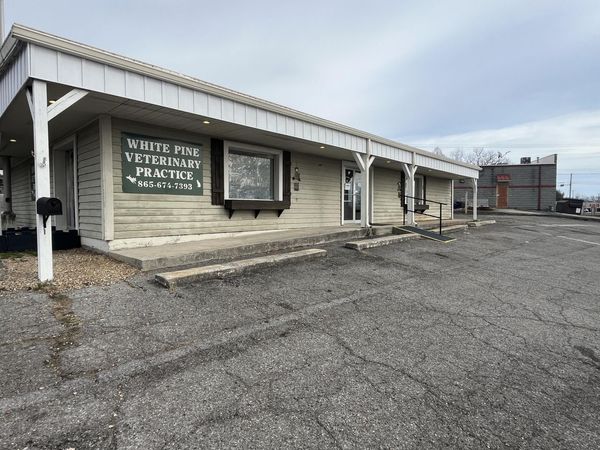 3122 Circle Drive, White Pine, TN 37890