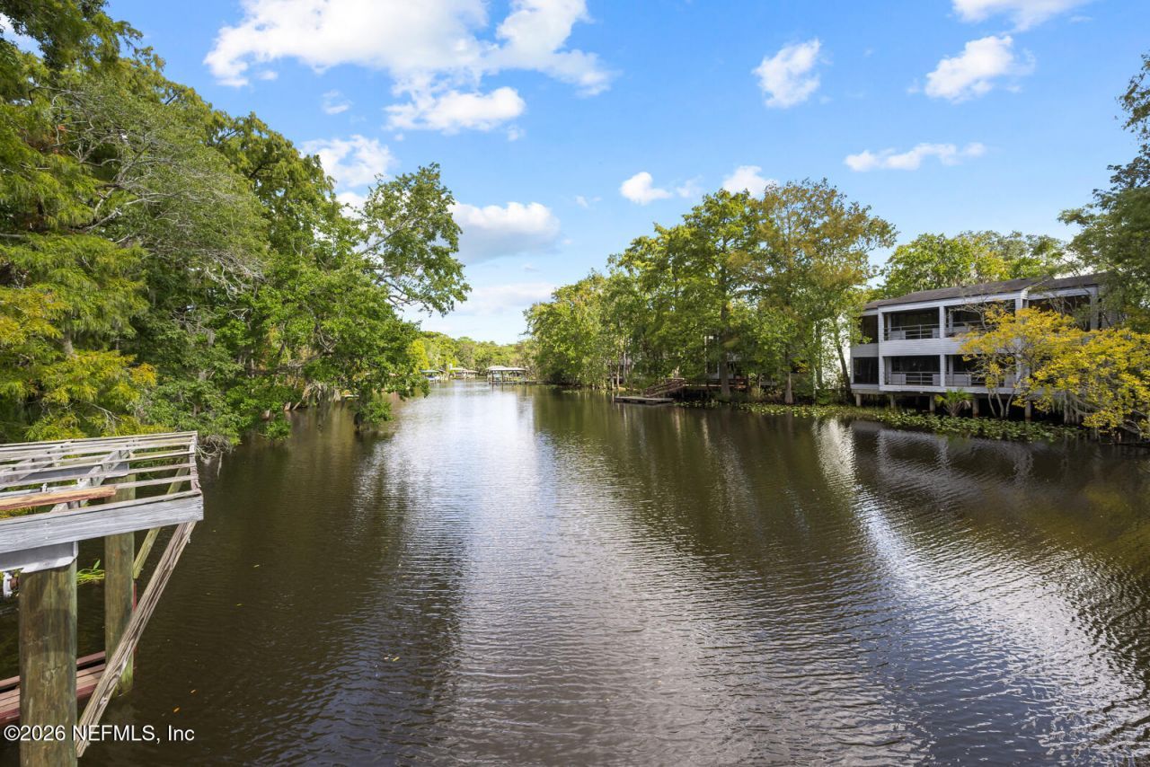 8849 Pallazzo Terrace, Jacksonville, FL 32217 Photo