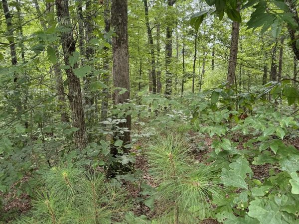 LOT 5 Harris Creek Drive, Ellijay, GA 30540