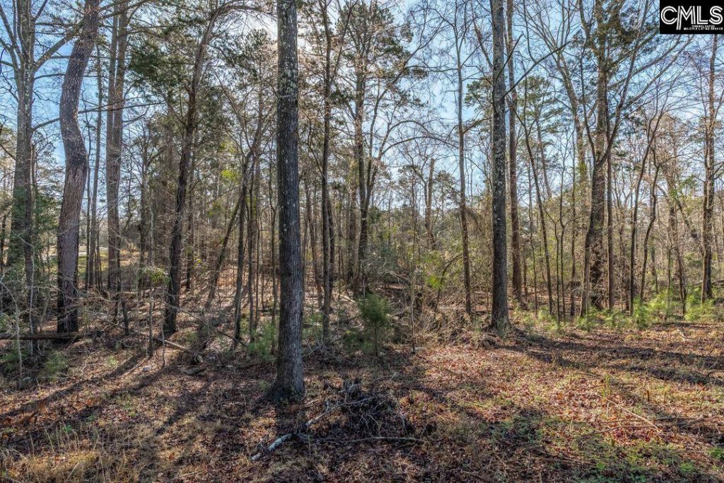 0 Bogater Road  Photo 8