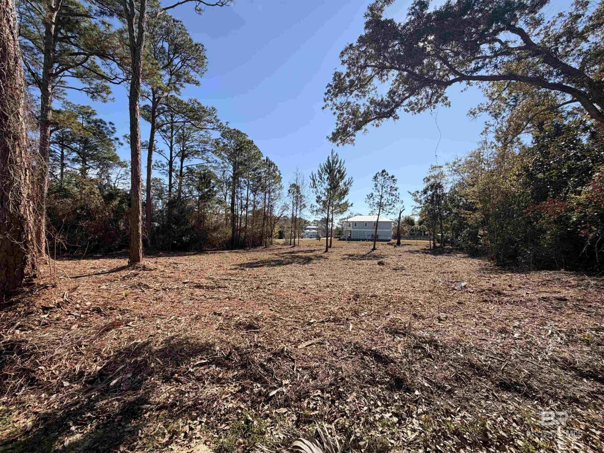 5306 Pine Road, Orange Beach, AL 36561 Main Photo