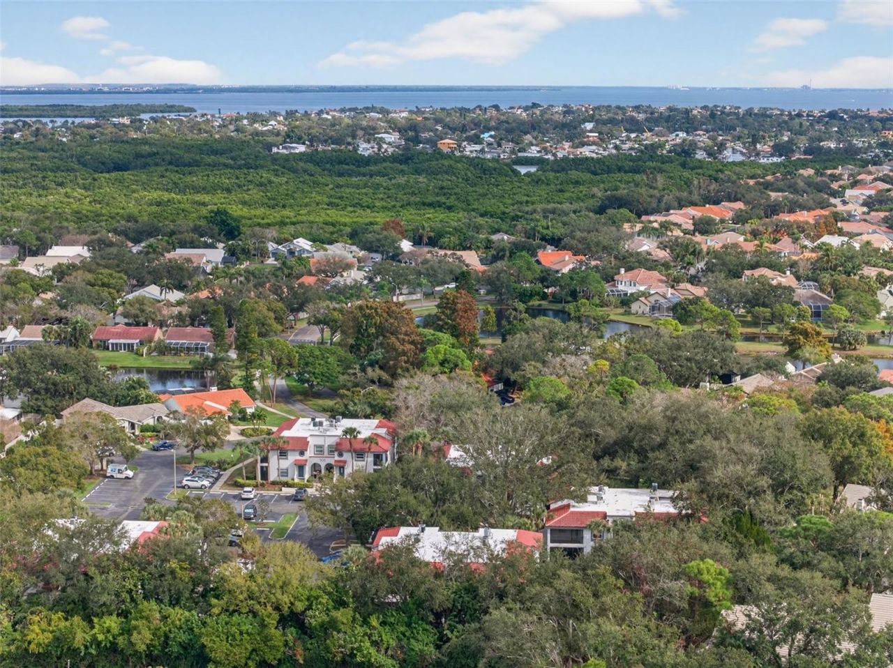 484 Santa Cruz Place Ne, Unit G, Saint Petersburg, FL 33703 Photo