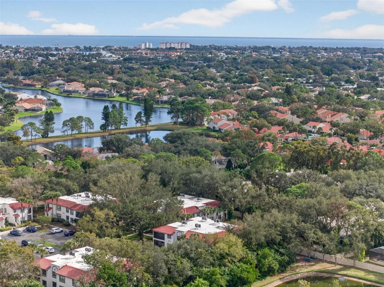 484 Santa Cruz Place Ne, Unit G, Saint Petersburg, FL 33703 Photo