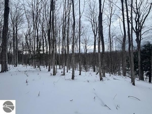 Kilkenny Lane, Ellsworth, MI 49729