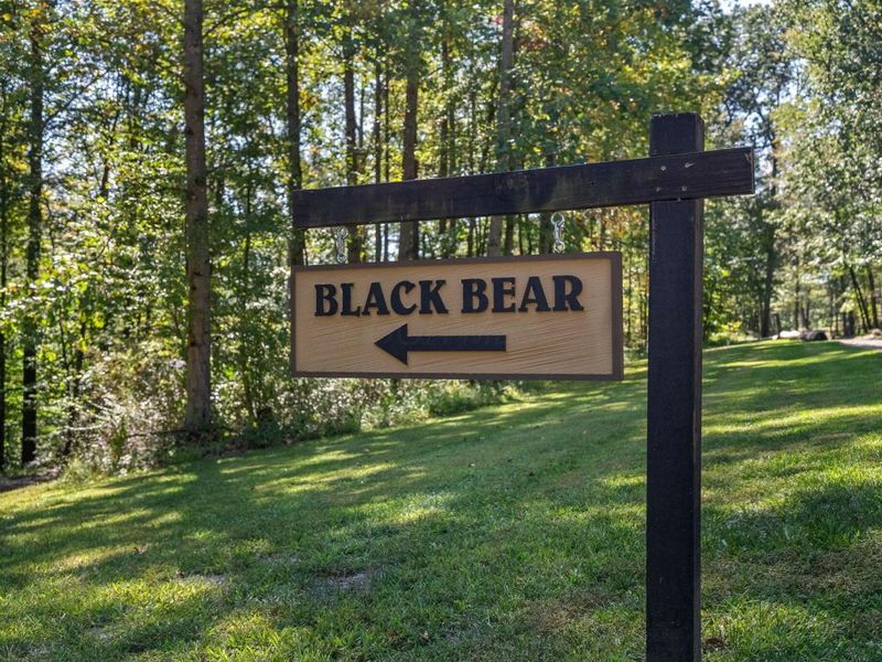 12089 Cantwell Cliffs Road , Rockbridge, OH 43149 Photo 154