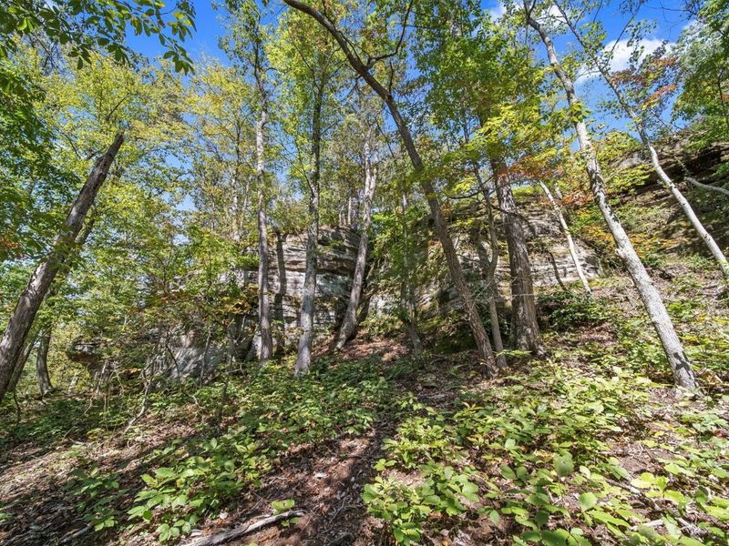 12089 Cantwell Cliffs Road , Rockbridge, OH 43149 Photo 3