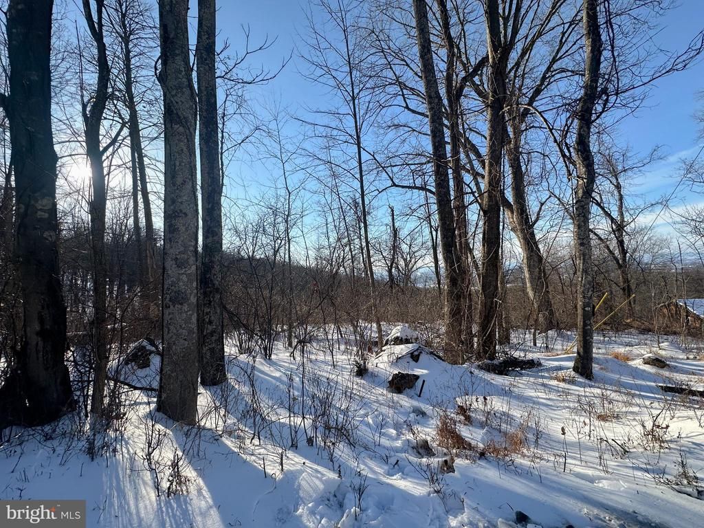 Lot 71 High Top Road, Linden, VA 22642 Main Photo