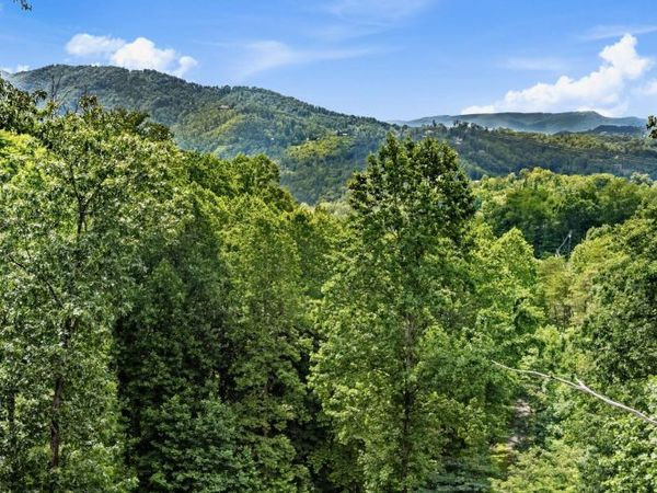 1119 E Kings Ridge Rd, Gatlinburg, TN 37738