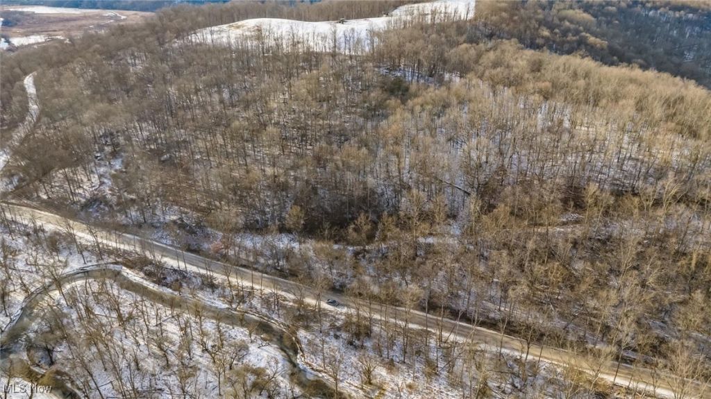 0 Skull Fork Road, Freeport, OH 43973 Main Photo