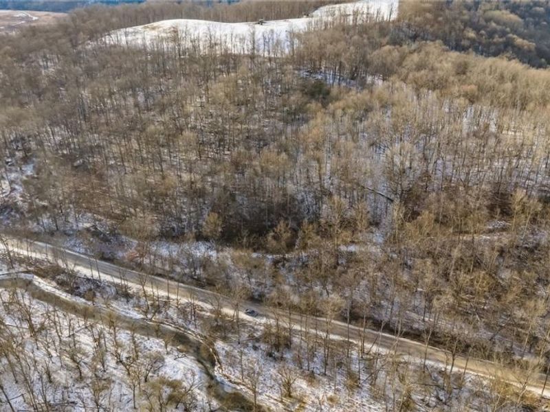 0 Skull Fork Road, Freeport, OH 43973 Photo 1