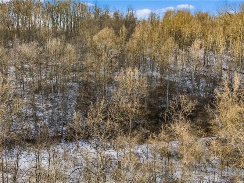 0 Skull Fork Road, Freeport, OH 43973 Photo 10