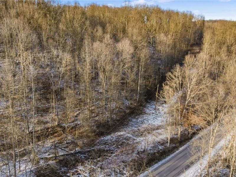 0 Skull Fork Road, Freeport, OH 43973 Photo 11