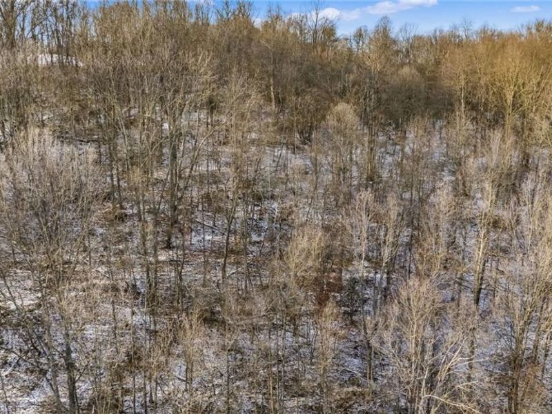 0 Skull Fork Road, Freeport, OH 43973 Photo 12