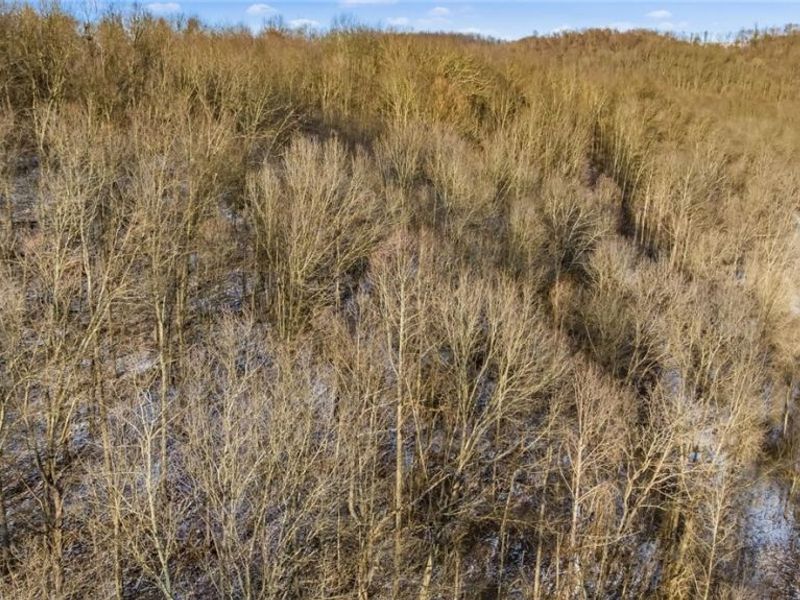 0 Skull Fork Road, Freeport, OH 43973 Photo 13