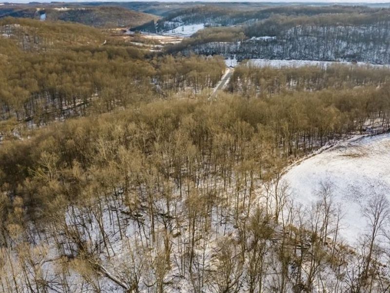 0 Skull Fork Road, Freeport, OH 43973 Photo 14