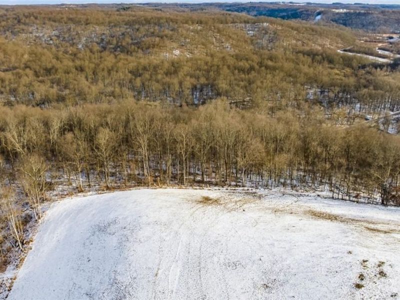 0 Skull Fork Road, Freeport, OH 43973 Photo 15