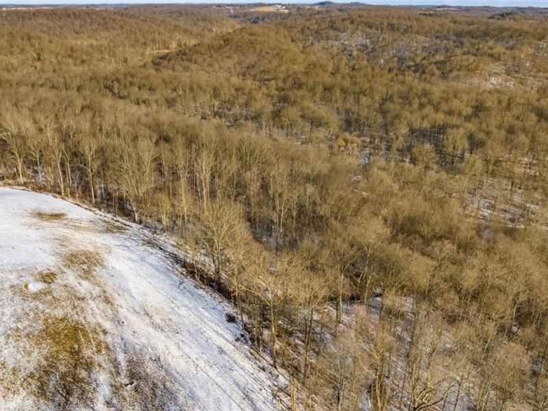 0 Skull Fork Road, Freeport, OH 43973 Photo 16