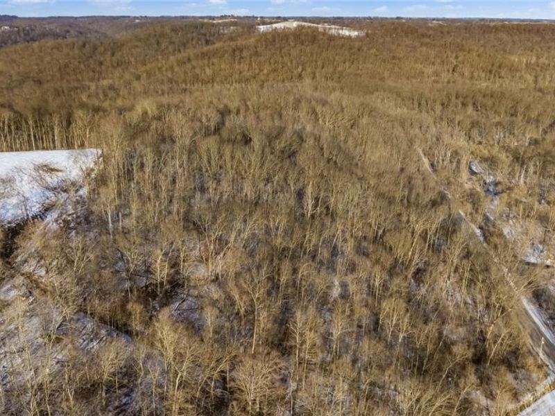 0 Skull Fork Road, Freeport, OH 43973 Photo 17