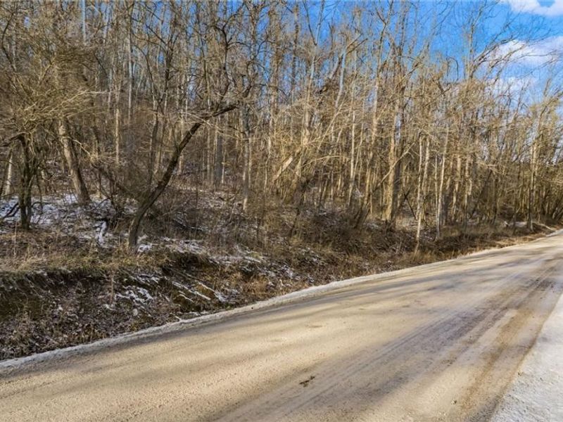 0 Skull Fork Road, Freeport, OH 43973 Photo 19