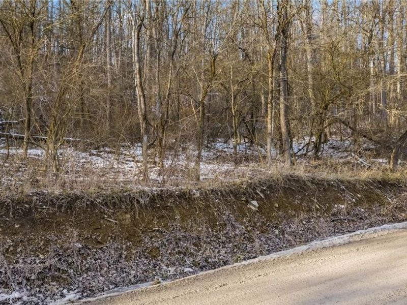 0 Skull Fork Road, Freeport, OH 43973 Photo 20