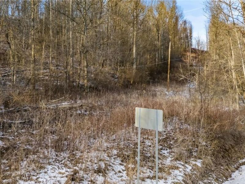 0 Skull Fork Road, Freeport, OH 43973 Photo 21