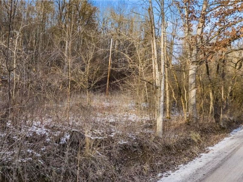 0 Skull Fork Road, Freeport, OH 43973 Photo 22