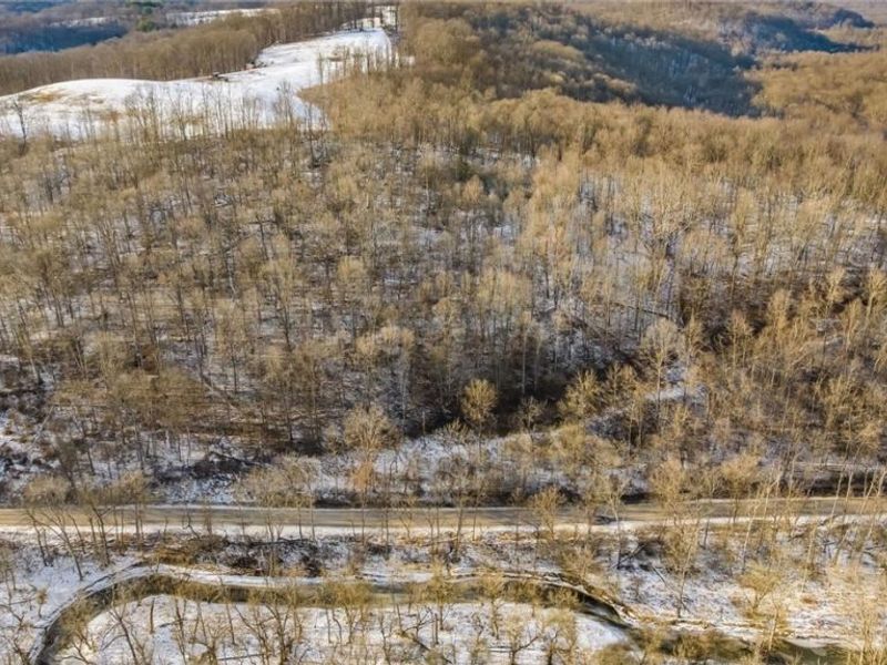 0 Skull Fork Road, Freeport, OH 43973 Photo 3