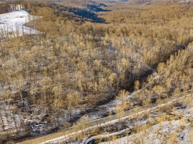 0 Skull Fork Road, Freeport, OH 43973 Photo 5