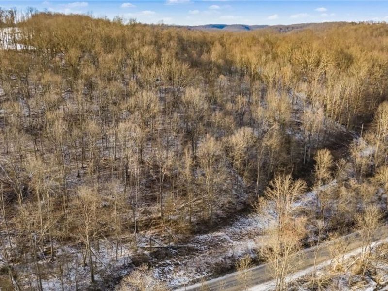 0 Skull Fork Road, Freeport, OH 43973 Photo 7