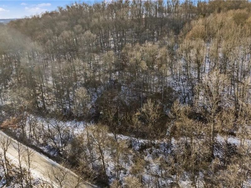 0 Skull Fork Road, Freeport, OH 43973 Photo 9