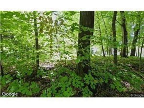 25975 Wild Rose Lane , Excelsior, MN 55331