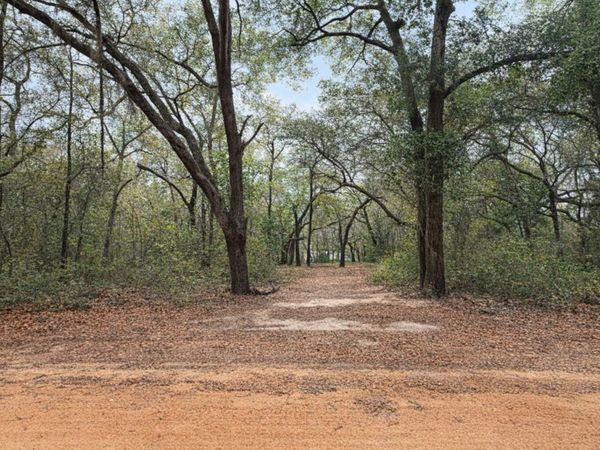 102 DAVID DRIVE, INTERLACHEN, FL 32148