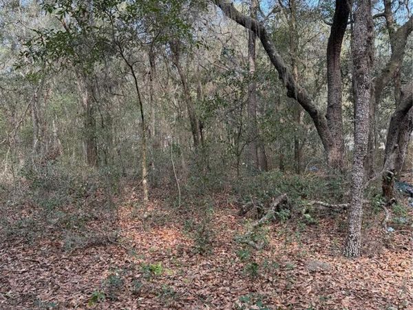 102 DAVID DRIVE, INTERLACHEN, FL 32148