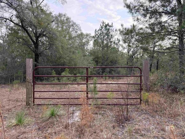 9325 N GEORGETOWN HILLS Road, Wilmer, AL 36587