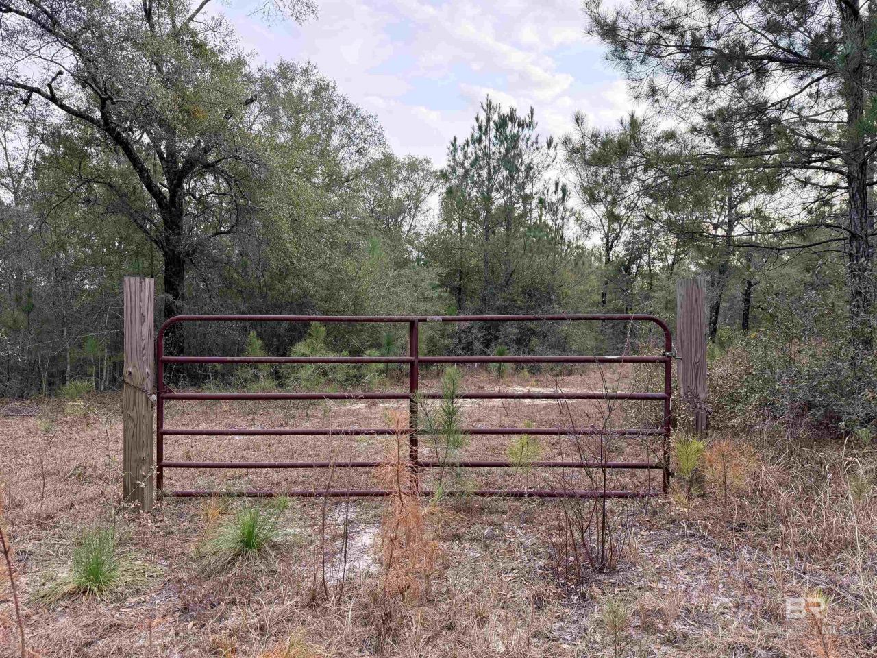 9325 N Georgetown Hills Road, Wilmer, AL 36587 Main Photo