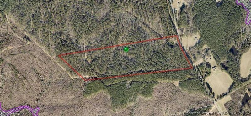 Lot 3 S Plank Road, Sanford, NC 27330 Main Photo