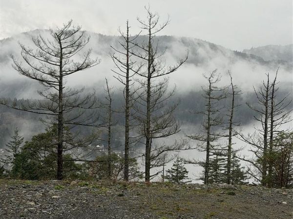 2017 Pinehurst Terr , Langford, BC V9B 3S3