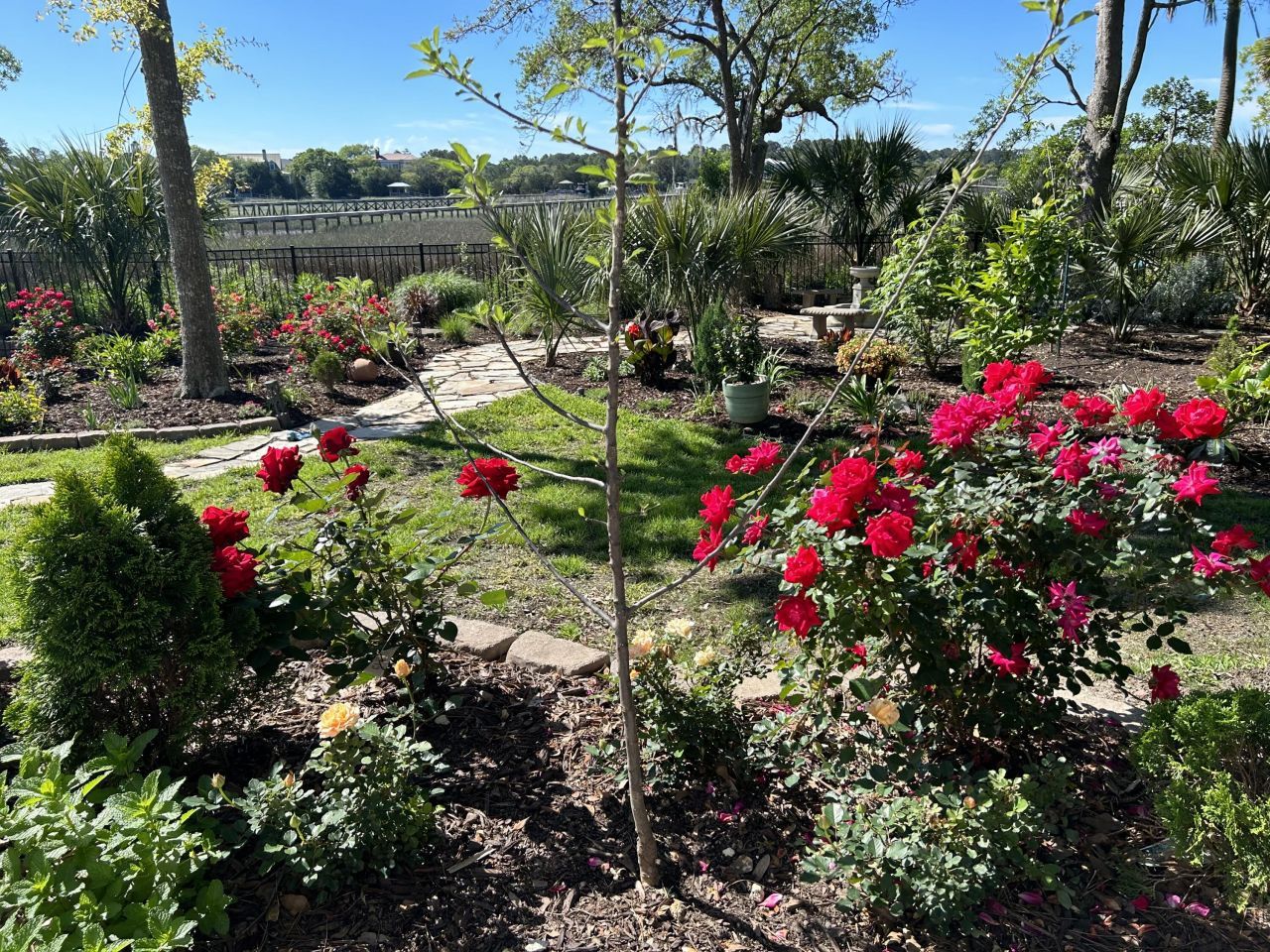 2805 Parkers Landing Road Photo 60