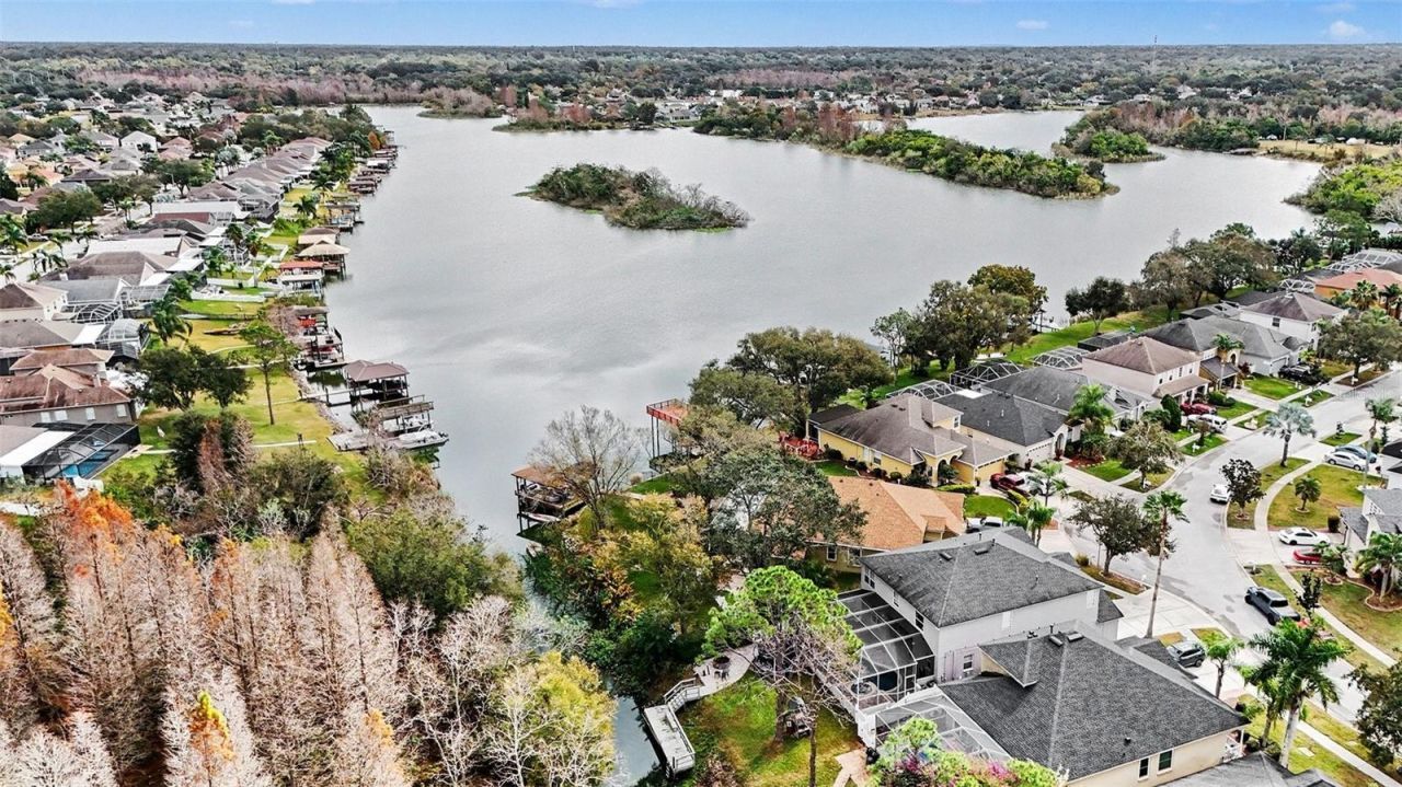 1952 Fruitridge Street, Brandon, FL 33510 Photo