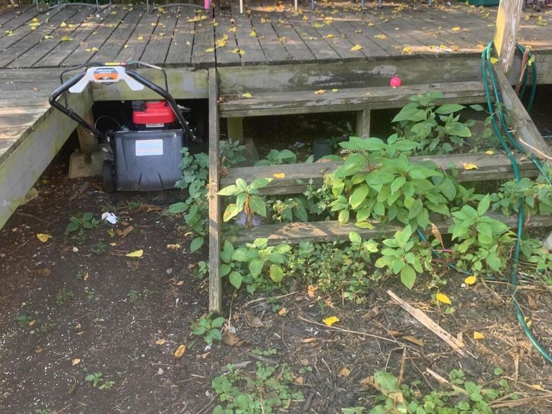 940 Lilley Avenue, Columbus, OH 43206 Photo 19