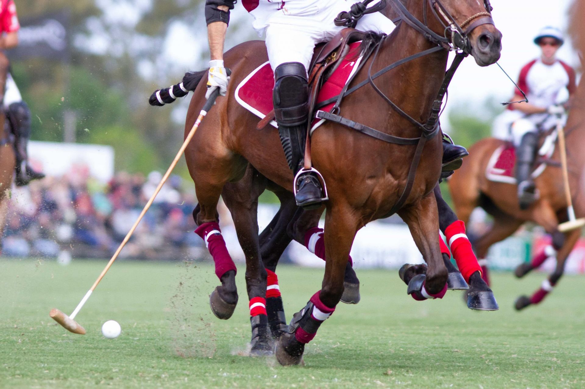 10712 Willow Oak Court, Wellington, FL 33414 Photo