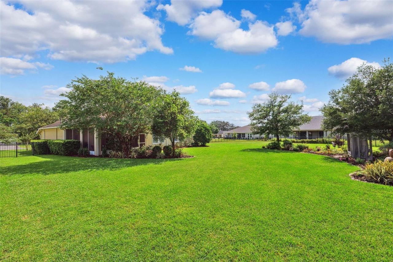 19531 Mossy Oak Court, Brooksville, FL 34601 Photo