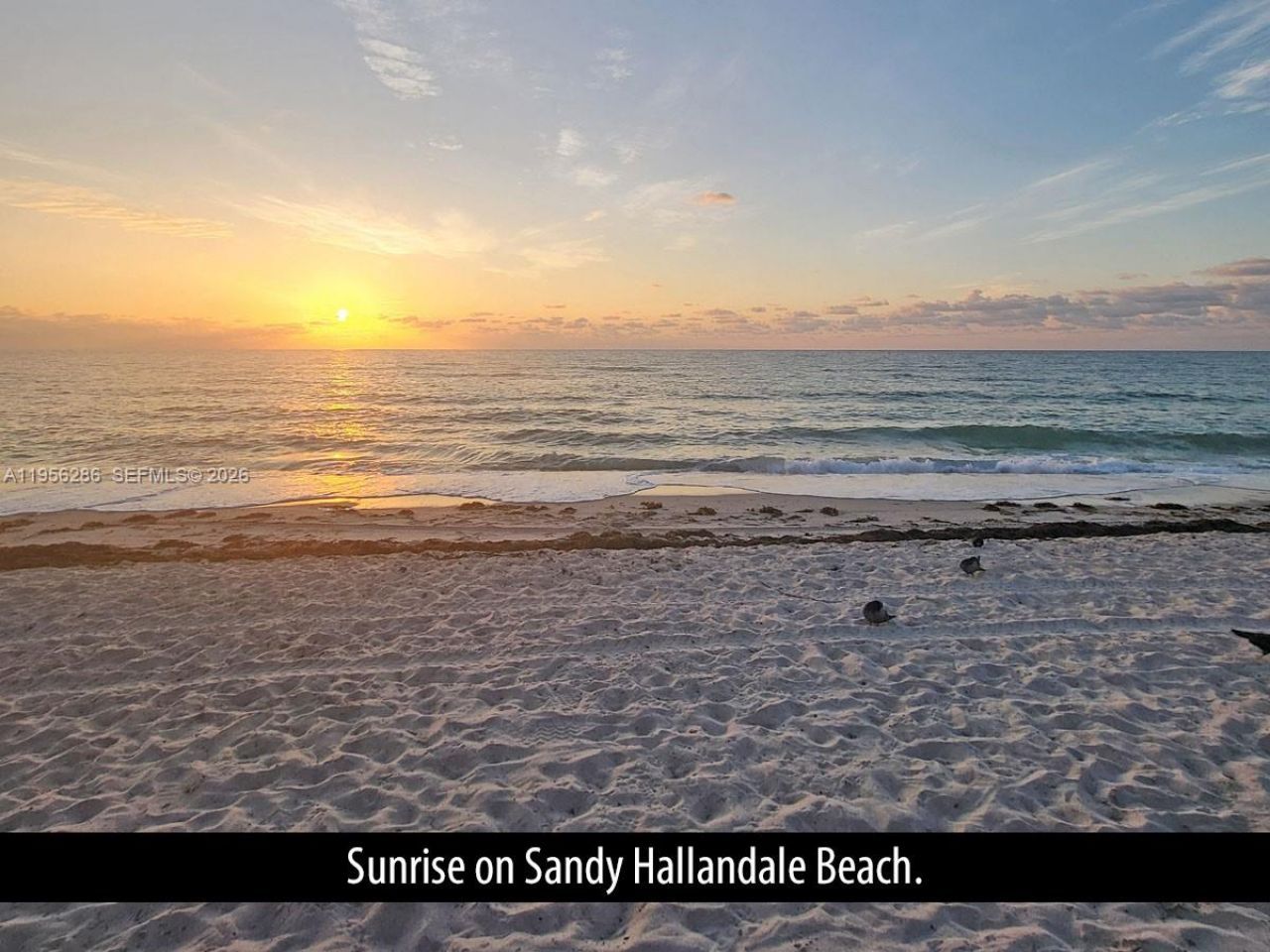 1825 S Ocean Drive, Unit 912, Hallandale Beach, FL 33009 Photo