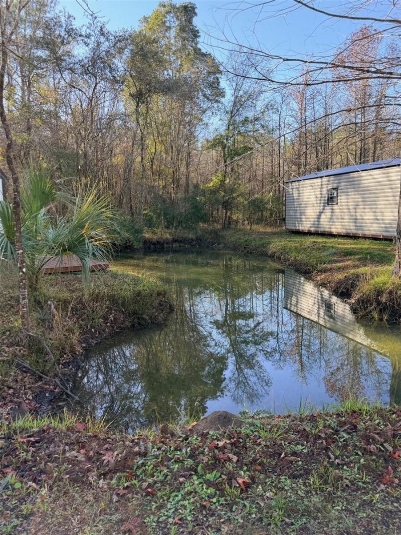 Off NW 10 Place, Chiefland, FL 32626 Photo