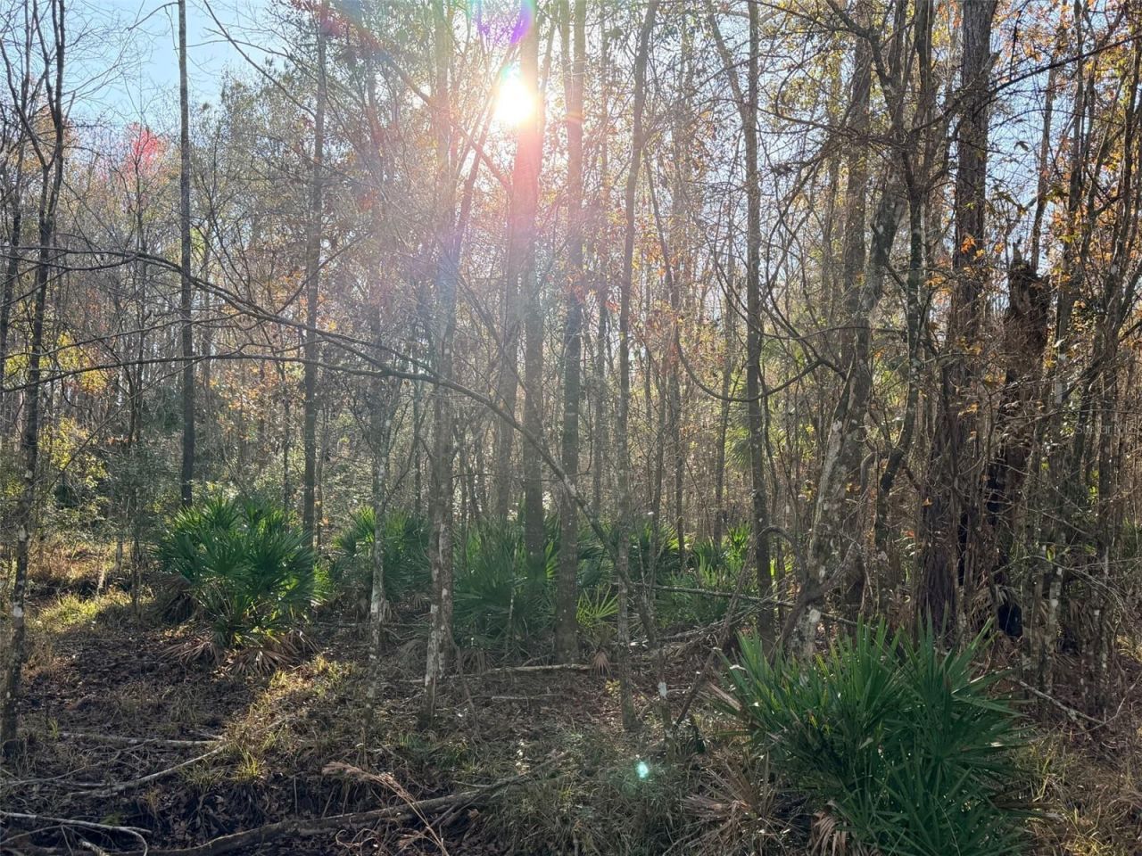 Off NW 10 Place, Chiefland, FL 32626 Photo