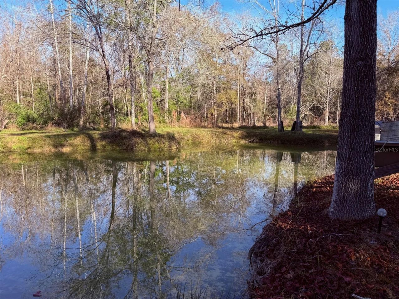 Off NW 10 Place, Chiefland, FL 32626 Photo