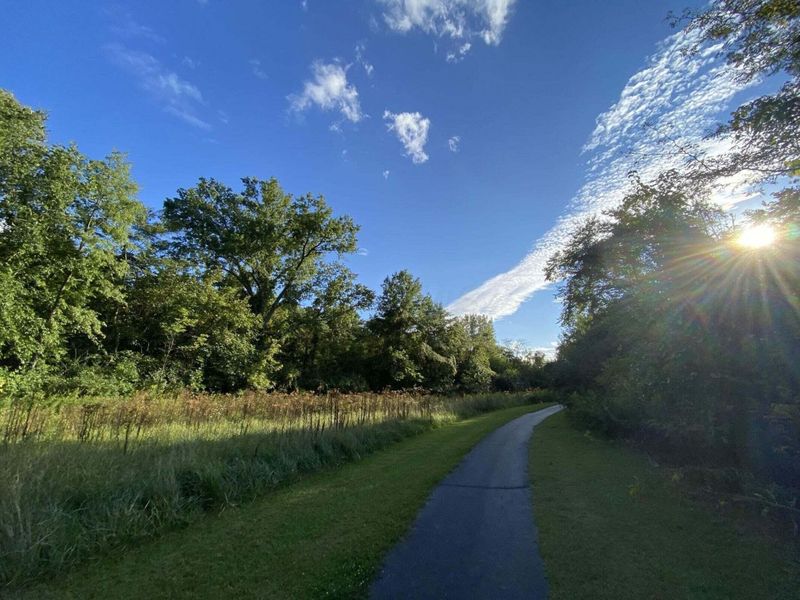 6704 Knoll View Court, Powell, OH 43065 Photo 120